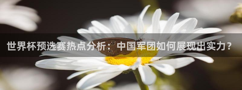 亚洲区世界杯预选赛:世界杯预选赛热点分析:中国军团如何展现出实力?