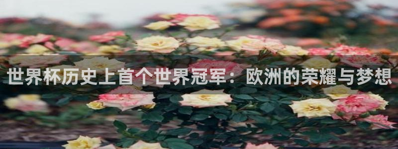 世俱杯直播:世界杯历史上首个世界冠军:欧洲的荣耀与梦想
