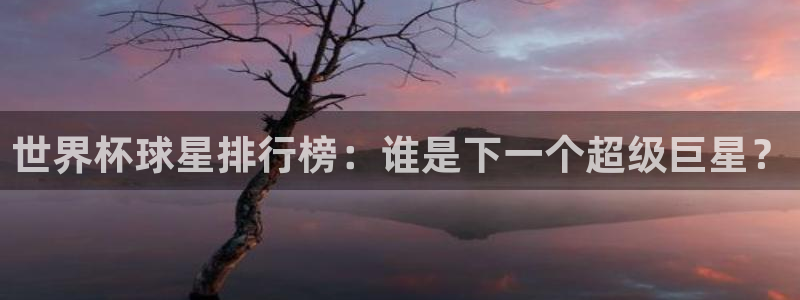 2026年世界杯:世界杯球星排行榜:谁是下一个超级巨星?