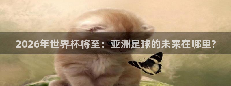 世界杯时间:2026年世界杯将至:亚洲足球的未来在哪里?