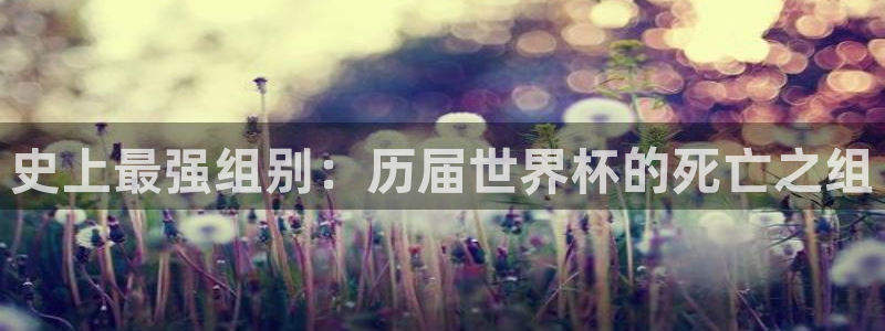 欧洲世界杯预选赛:史上最强组别:历届世界杯的死亡之组