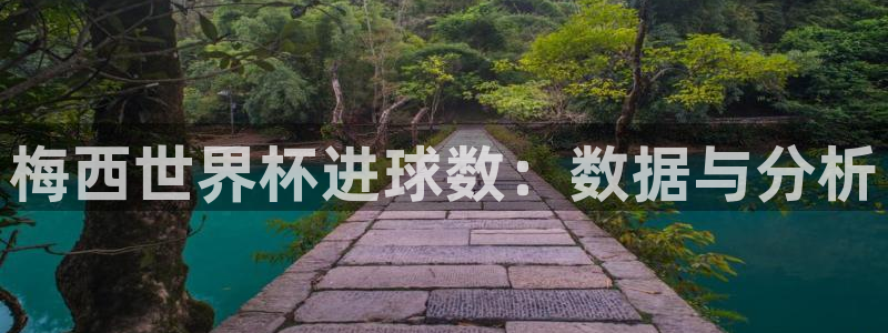 世界杯球赛:梅西世界杯进球数:数据与分析
