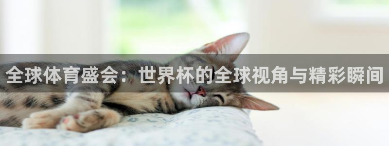 世界杯预选赛直播:全球体育盛会:世界杯的全球视角与精彩瞬间