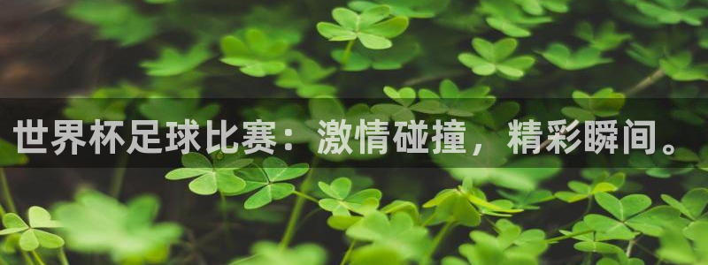 2026年世界杯赛程:世界杯足球比赛:激情碰撞,精彩瞬间。